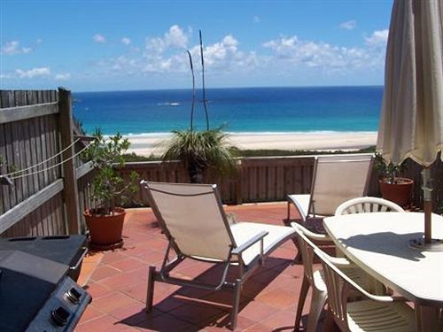 Pandanus Palms 3*
