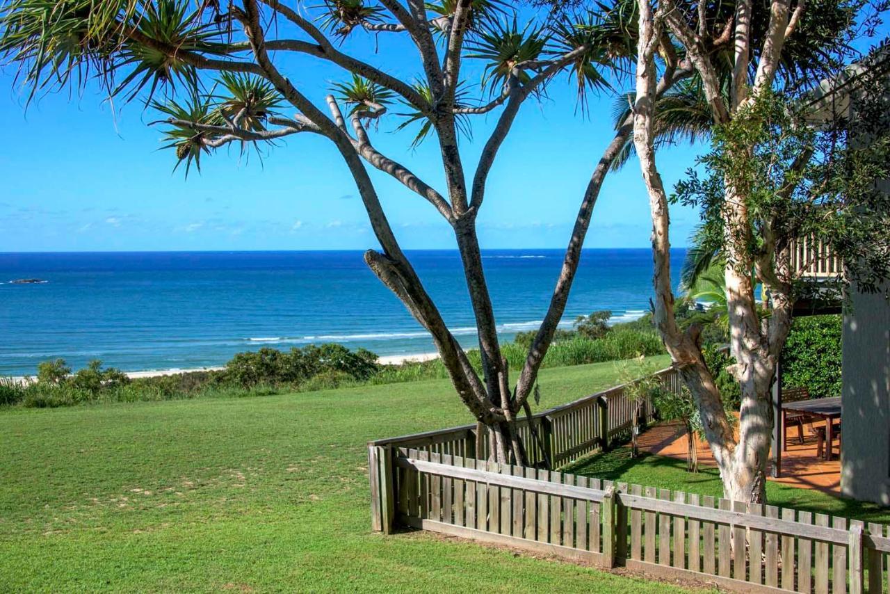 Pandanus Palms Point Lookout